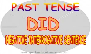 (use of did ) Negative interrogative sentence in simple Past